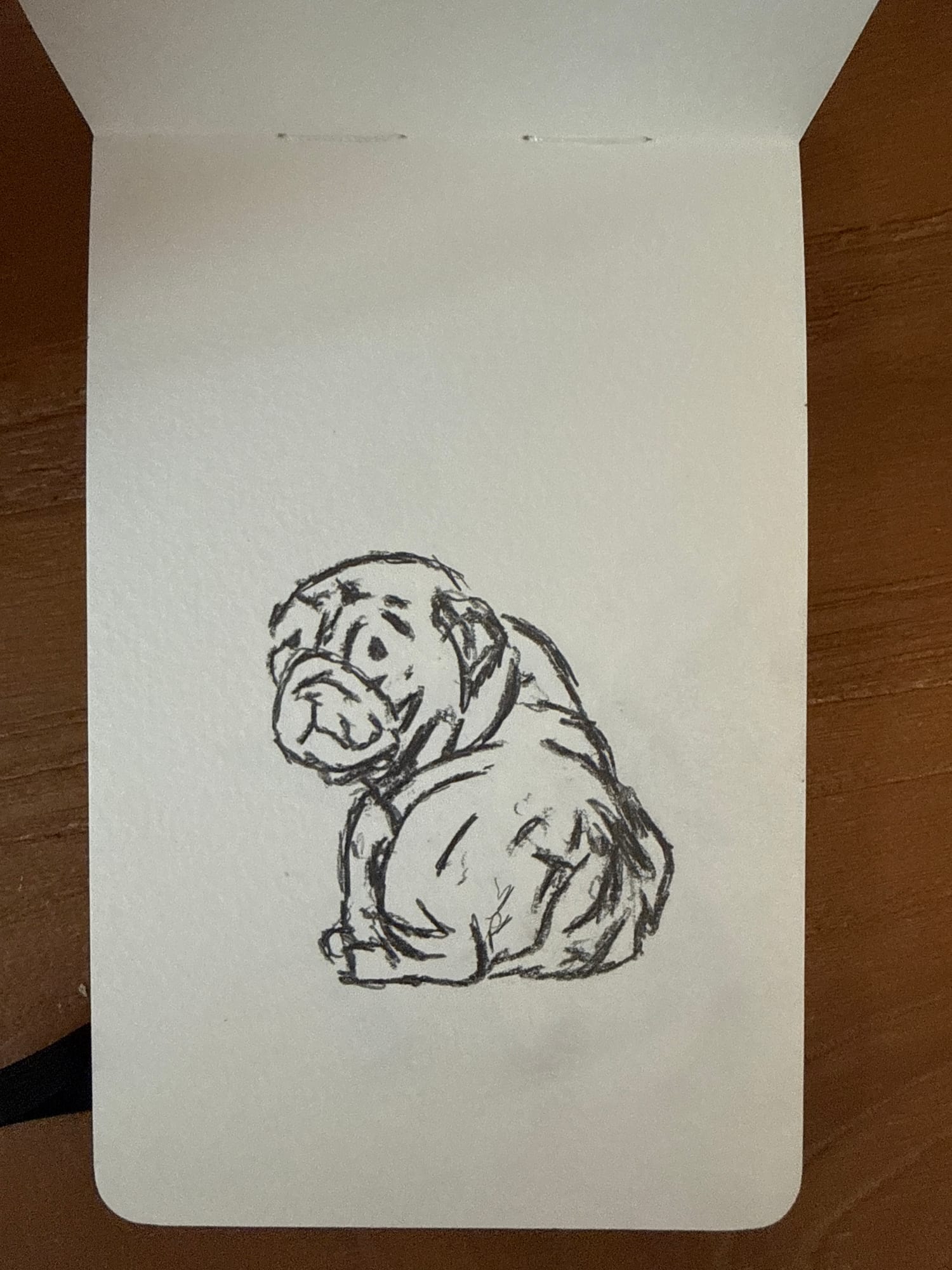 Pencil animals — sheet 40