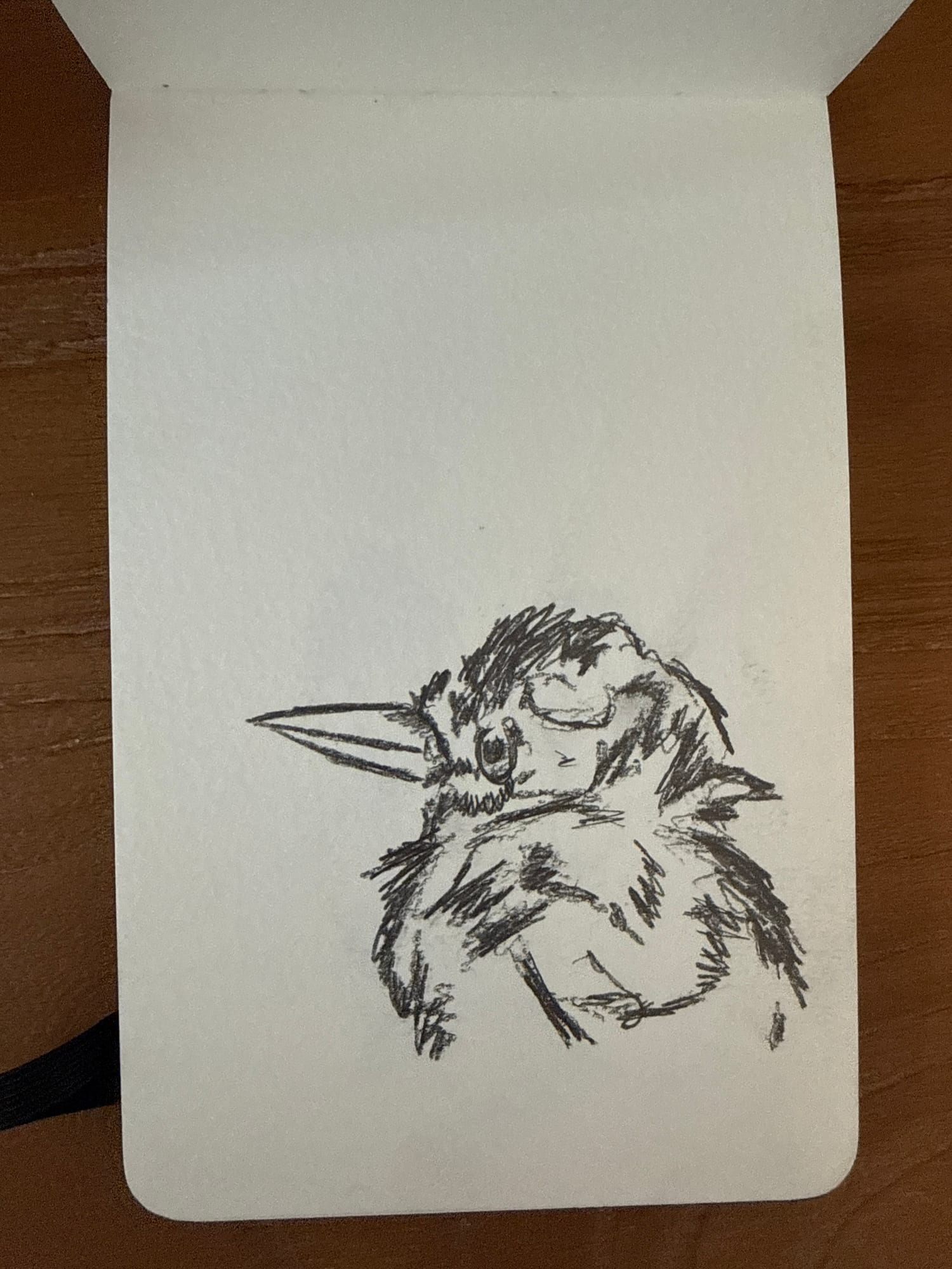 Pencil animals — sheet 41