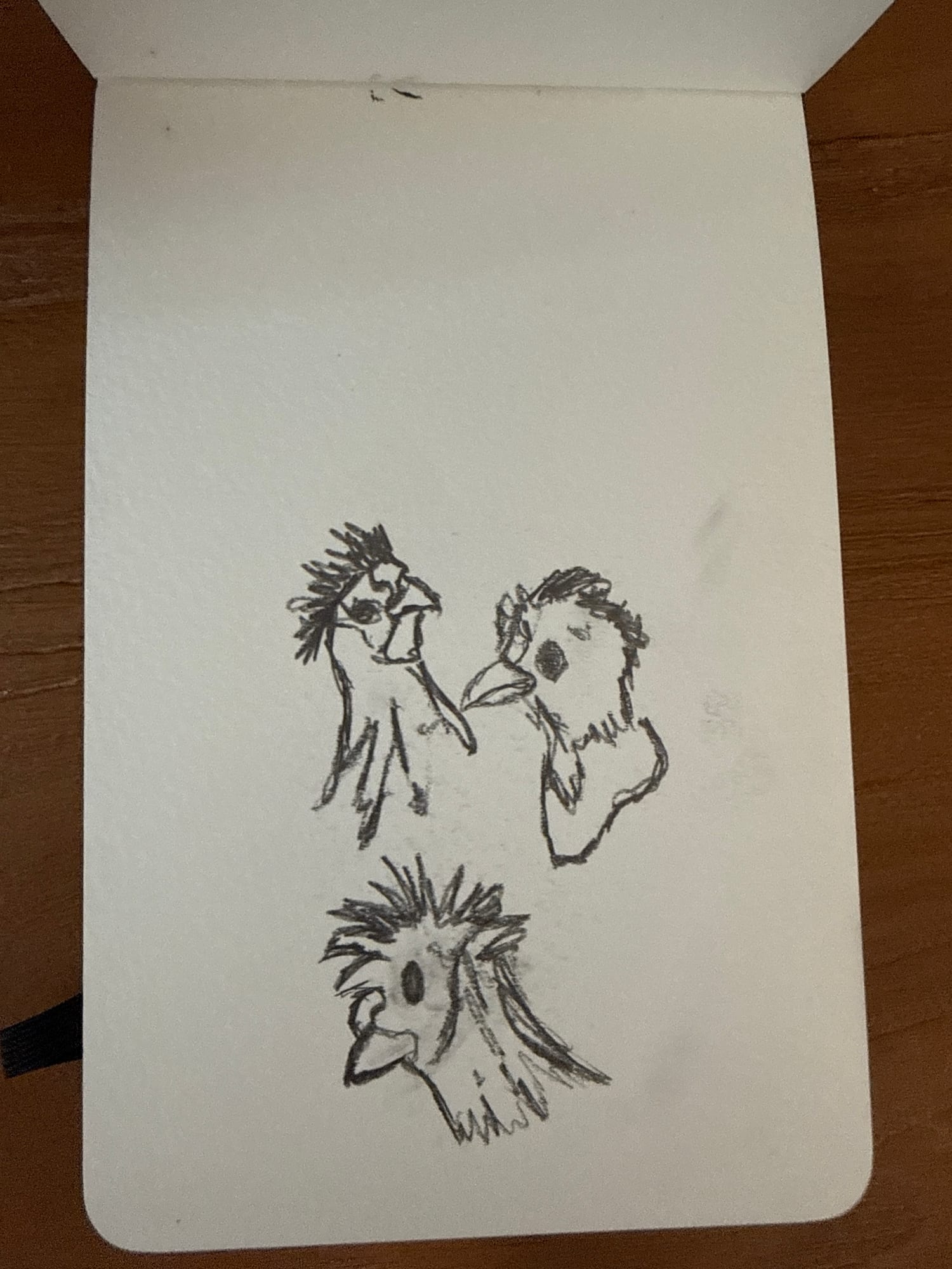 Pencil animals — sheet 42