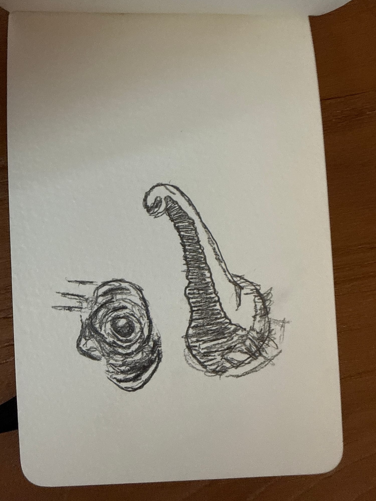 Pencil animals — sheet 43