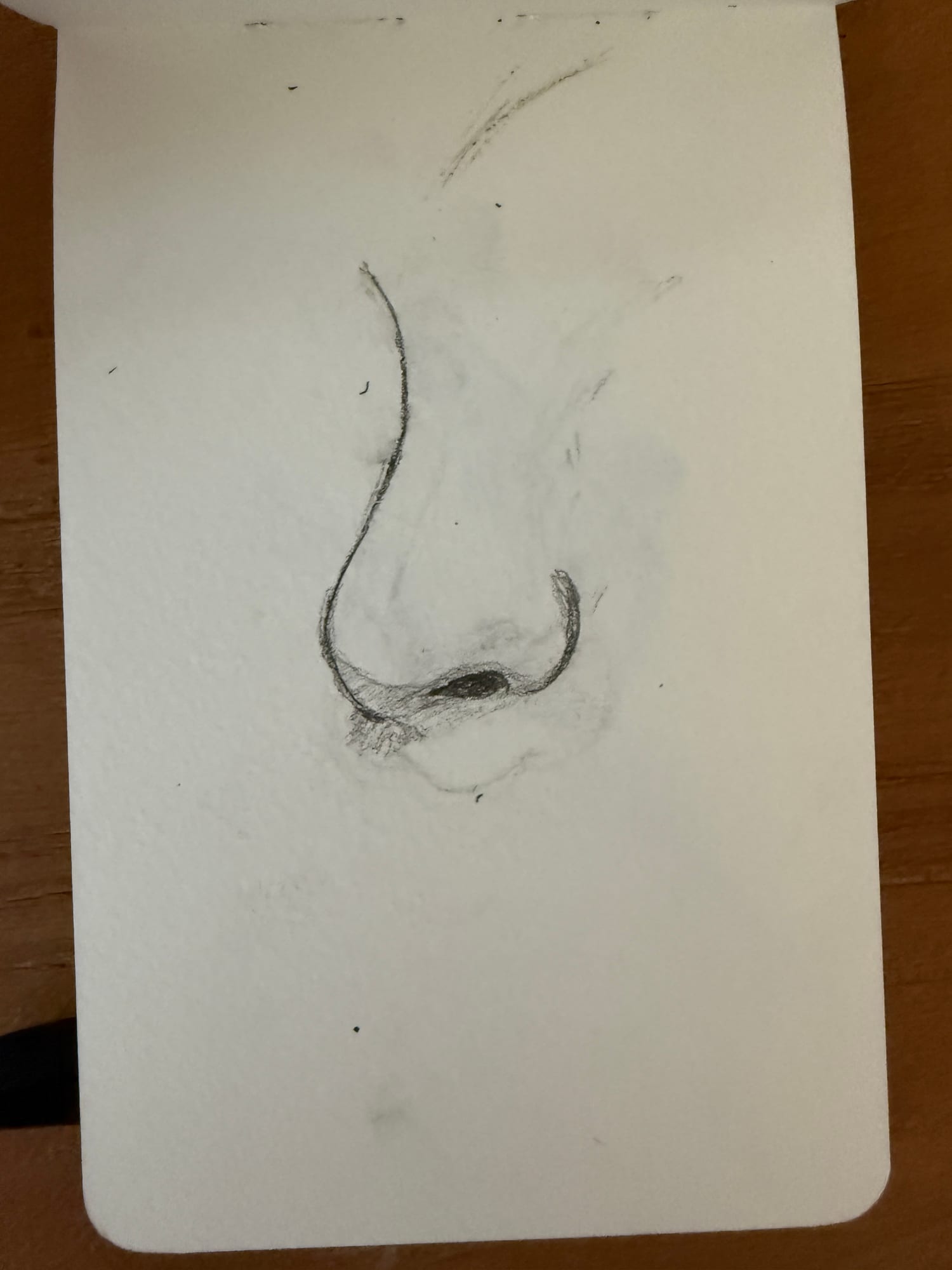 Pencil, people — sheet 14